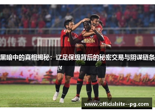 黑暗中的真相揭秘：辽足保级背后的秘密交易与阴谋链条